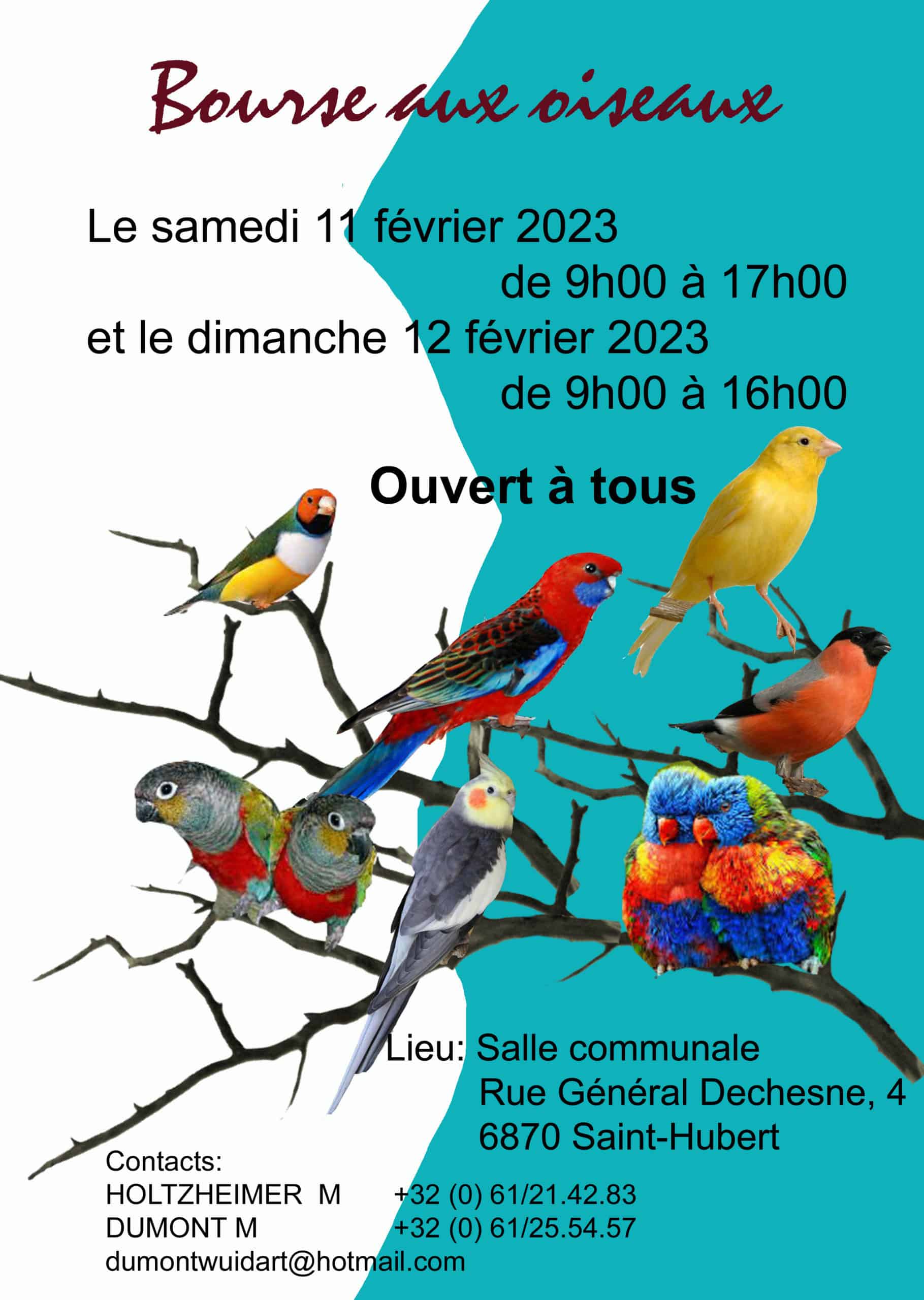 Bourses D Oiseaux